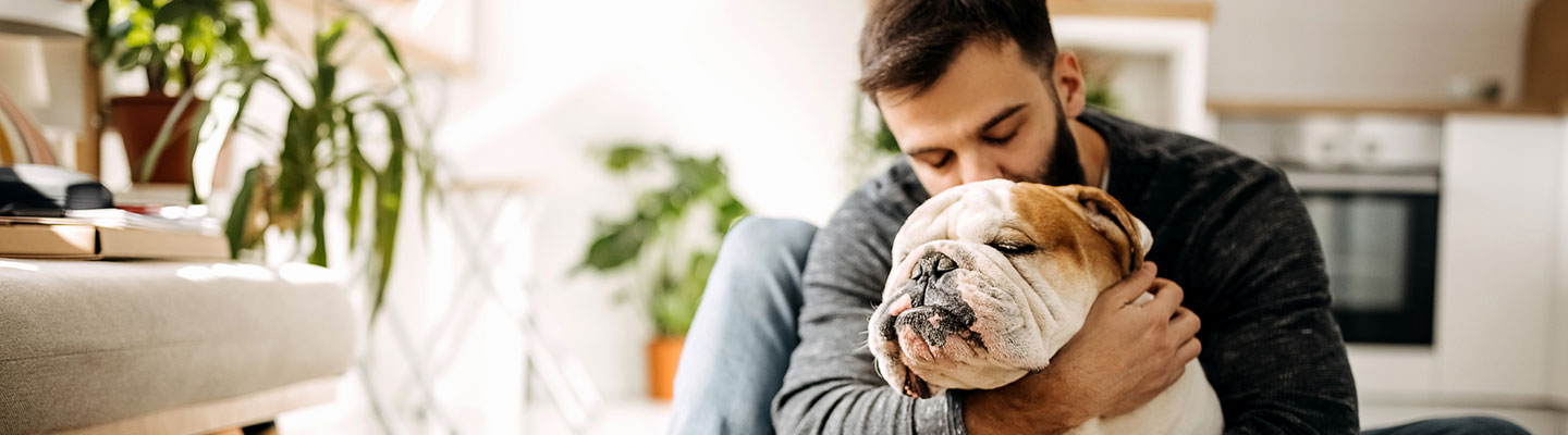 Arizona Pet Insurance Coverage